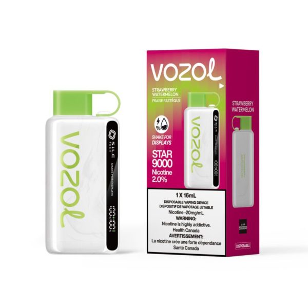 vozol-9000-vape-strawberry-watermelon-810x810