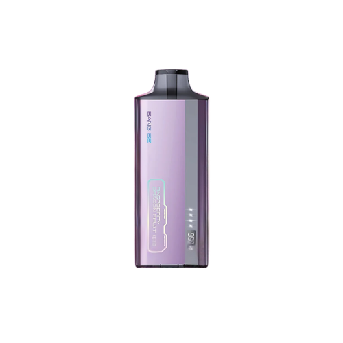 Bang B2 8K Raspberry Dragonfruit Ice Artisan Smoke Shop